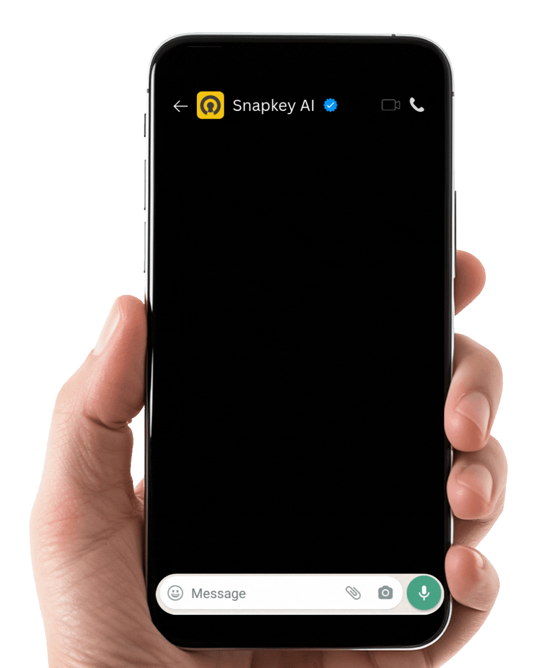 SnapKey AI Tally Integration